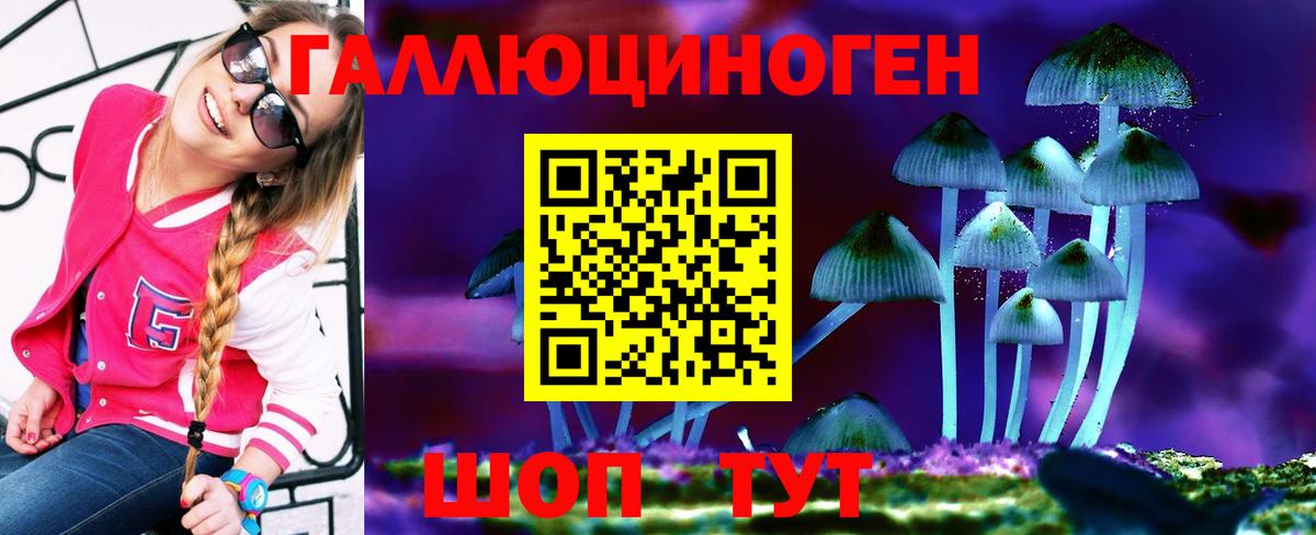 Галлюциногенные грибы Psilocybe  Вход с VPN  Калининград 
