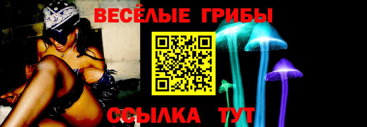 Псилоцибиновые грибы Psilocybine cubensis Калининград